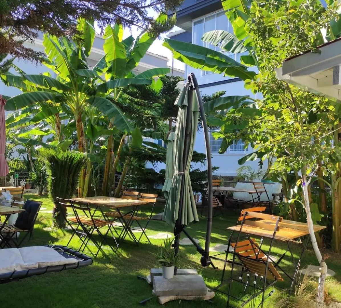 Luna 阿拉恰特 住宿加早餐酒店