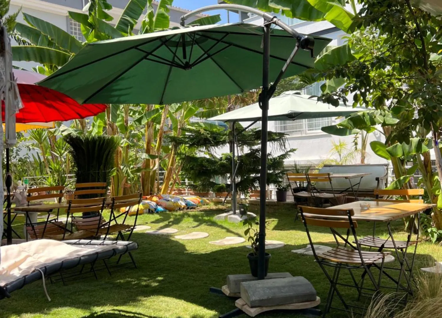 Luna 阿拉恰特 住宿加早餐酒店