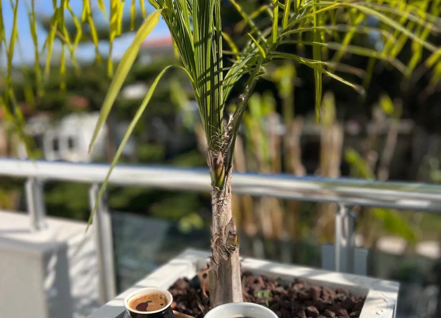 Luna 阿拉恰特 4*,  土耳其